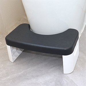 toilet stool